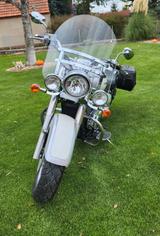 Suzuki VL 800 - SUZUKI V 800