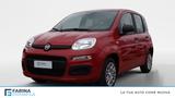 Fiat FIAT Panda 1.0 70cv Hybrid Panda - Fiat Panda Jahreswagen
