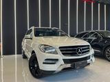 Mercedes-Benz Mercedes-benz ML 250 CDi BlueTEC 4Matic Sport - Mercedes-Benz ML 250 aus 2012