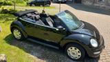 Volkswagen Beetle Cabrio 1.6  101 PS 1Y - Volkswagen Beetle aus 2003: Cabrio