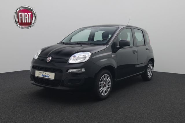 Fiat Panda 1.2 Easy 1.Hand