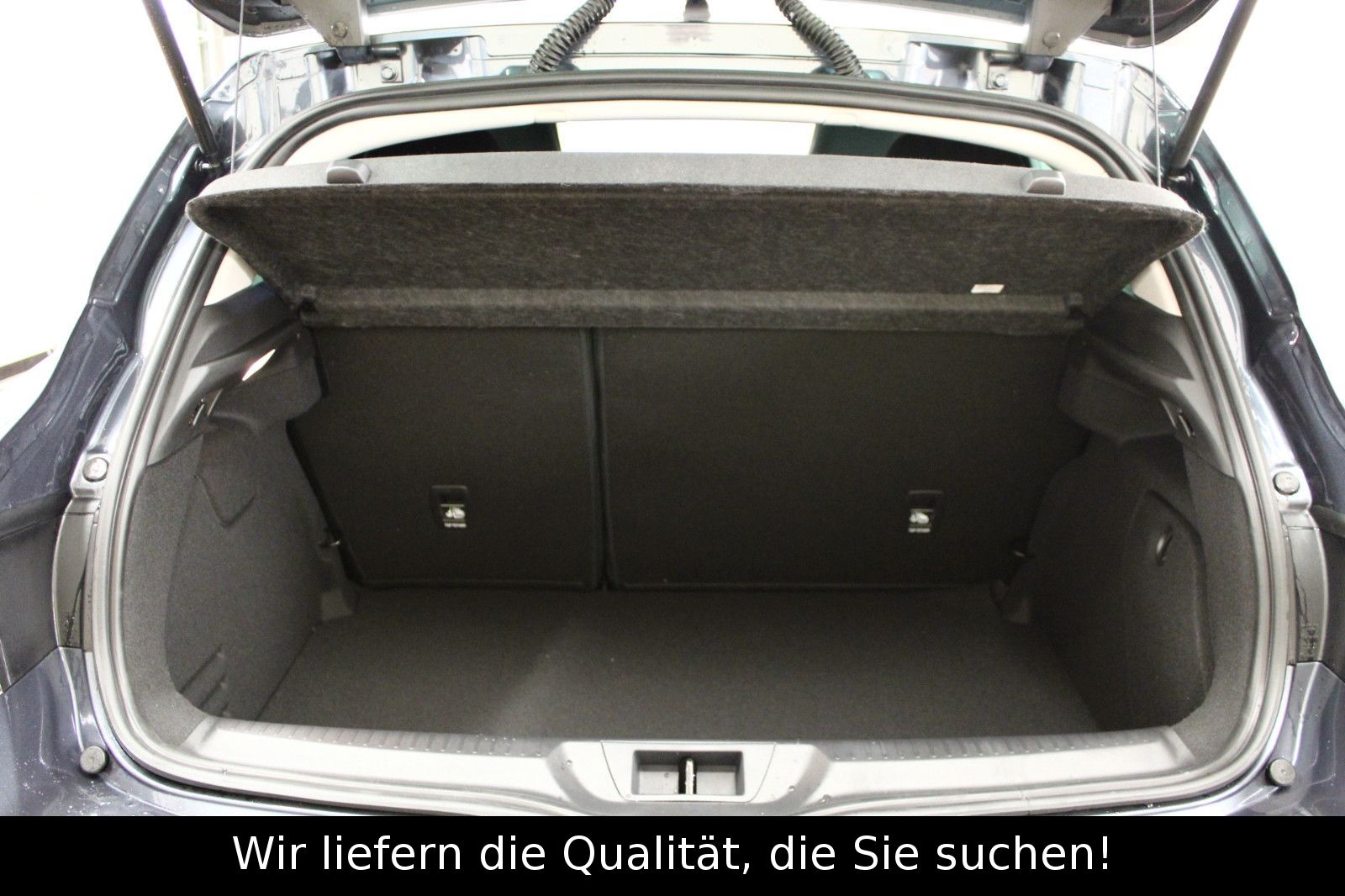 Fahrzeugabbildung Renault Megane TCe 160 EDC GPF R.S. Line *Schiebedach*