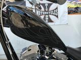 Big Dog Motorcycles K-9 - BIG DOG MOTORCYCLES MOTORRAD