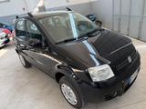 Fiat Panda 1.3 MJT 16V DPF 4x4 Climbing - Fiat Panda Climbing mit Diesel-Antrieb