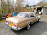 Mercedes-Benz 220 - Mercedes-Benz 220 mit Benzin-Antrieb: Leder