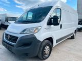 Fiat Ducato Grossr.-Kasten 35 130 L4H2 RS: 4035 TüV - Fiat Ducato: L1h2