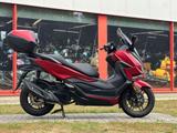 Honda NSS125A 2 Jahre Gewährleistung - HONDA ROLLER 125