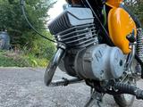 Simson S51 12V Vape - SIMSON MOTORRAD