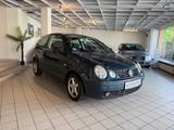 Volkswagen Polo 1.4 Sportline *AUTOMATIK* - Volkswagen Polo: Sportline
