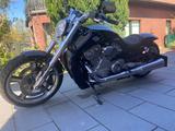 Harley-Davidson V-Rod Muscle 2009  - HARLEY-DAVIDSON V ROD MUSCLE