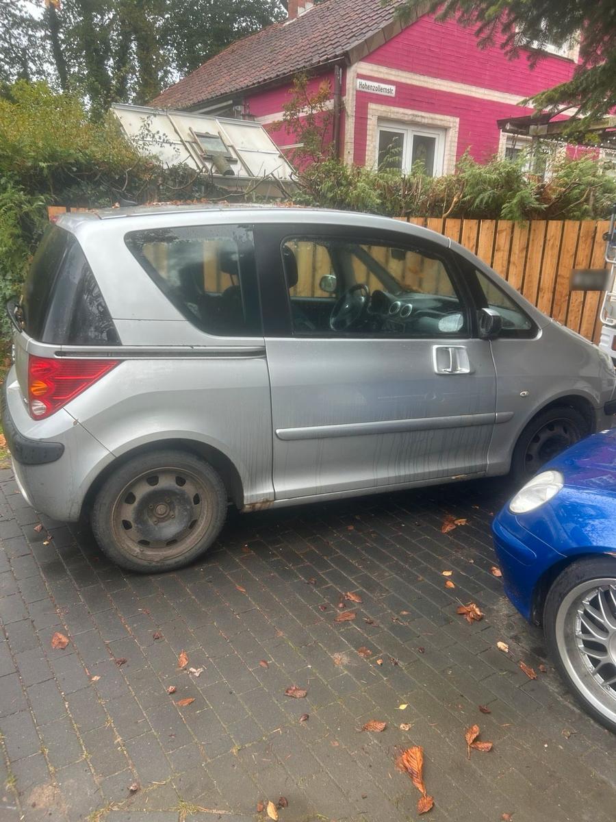 Peugeot 1007