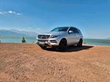 Mercedes-Benz Mercedes ML350 CDI  tausch nur BMW - Mercedes-Benz ML 350 in Essen