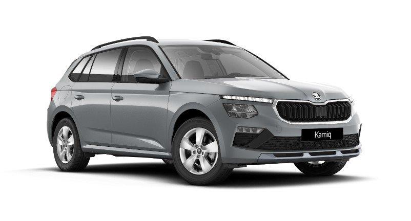 Skoda Kamiq 1.0 TSI PDC Kamera AHK SH Alu