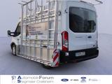 Ford Transit Kasten Glastransporter 350L2H2 HEGLA