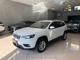 Jeep Cherokee 2.2 Mjt AWD Active Drive I Longitu - Jeep Cherokee aus 2020