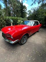 Ford Mustang Oldtimer - Ford Mustang: Old