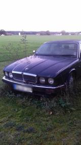 Jaguar xj 40 - Jaguar XJ40 aus 1993