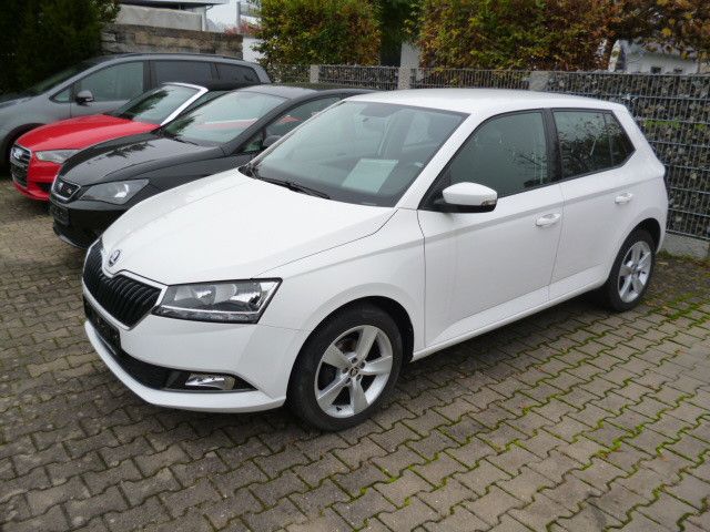 Skoda Fabia Cool Plus 1.0 TSI -PDC- SHZ