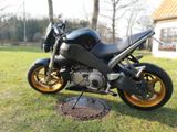 Buell XB 12 S Lightning *HU neu* - Offers matching your search criteria