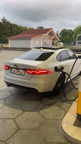 Jaguar XF 30d 300 R-Sport Automatik| ACC | Schiebedach - Jaguar XF in Hamburg