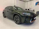 Lexus UX Hybrid 4WD Luxury 2.0 CV 184 - Lexus UX aus 2019