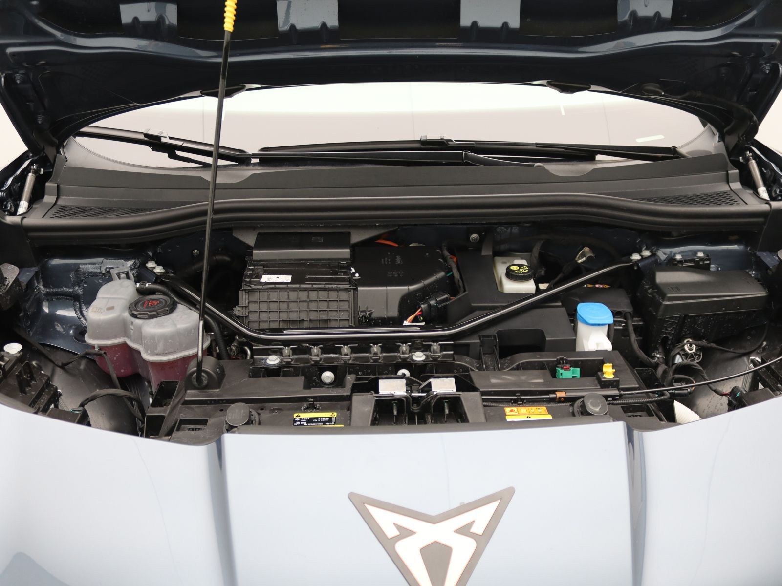 Cupra Tavascan - Bild 18