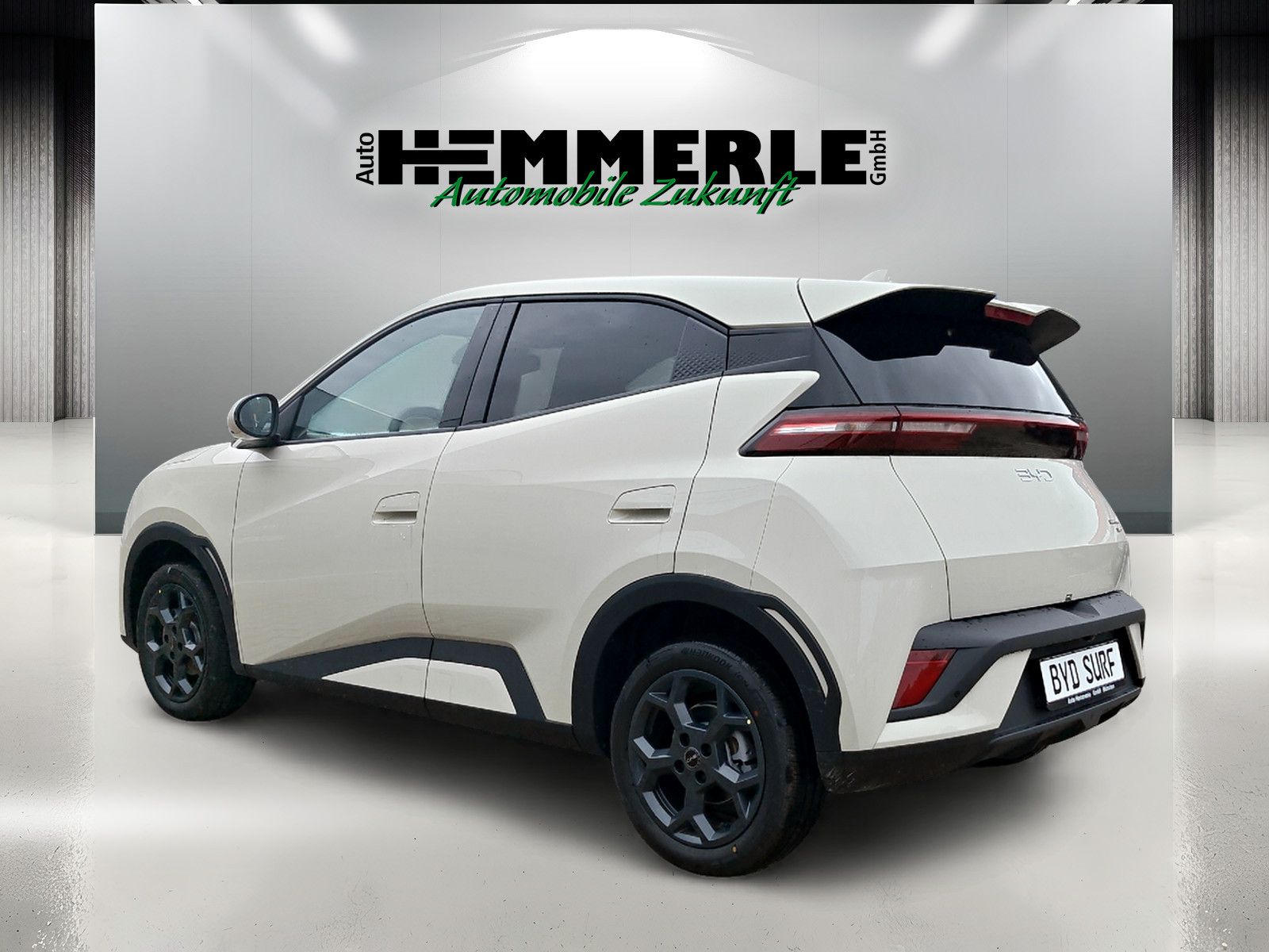 BYD DOLPHIN SURF