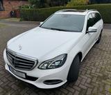Mercedes-Benz E 200 T ELEGANCE Autom. StandHzg NAVI - Mercedes-Benz E 200: Elegance
