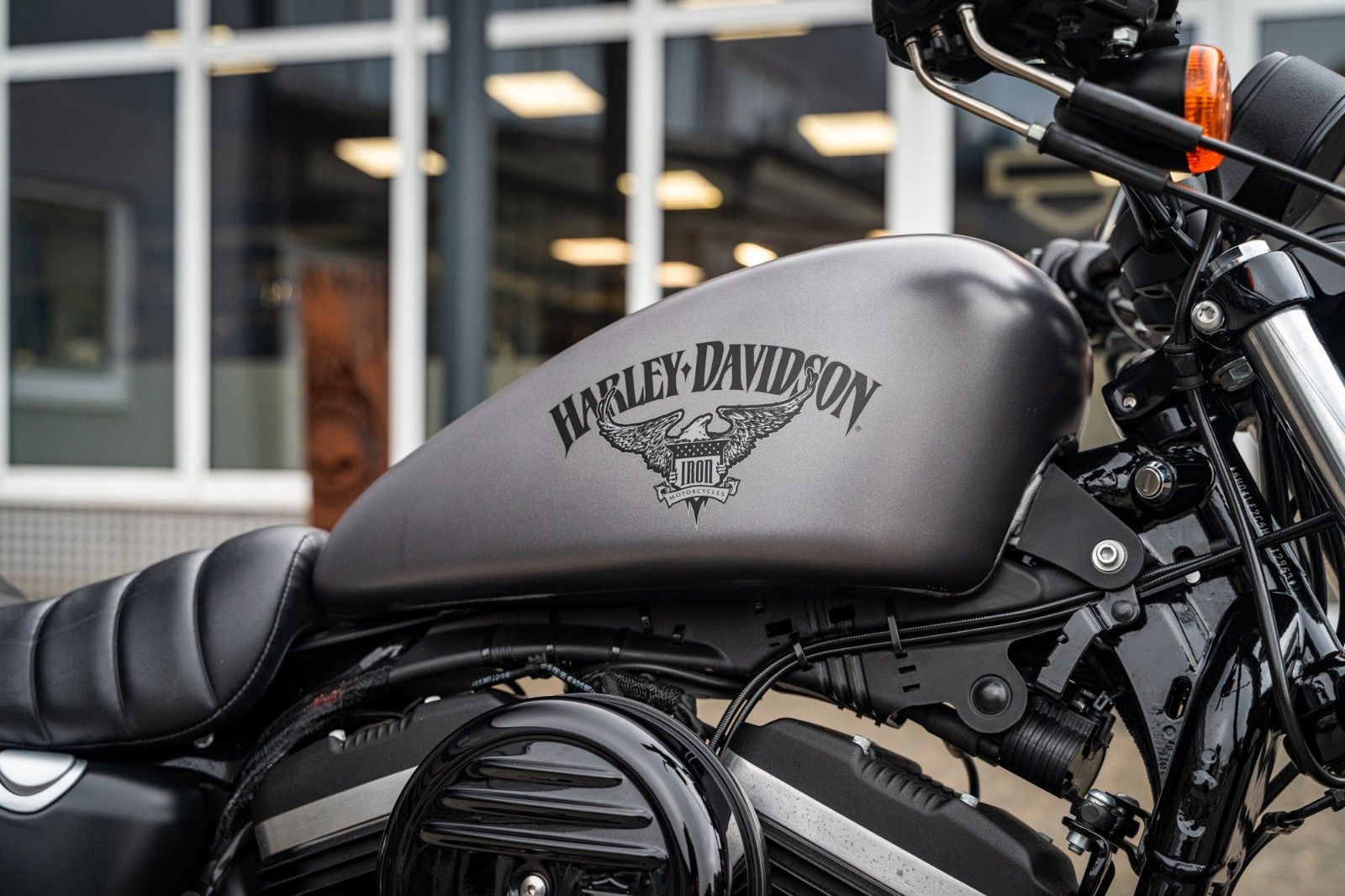 Fahrzeugabbildung Harley-Davidson XL883N - Iron