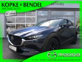 Mazda CX-30 Selection*abn.AHK*Automatik*BOSE SOUND* CX - Mazda CX-30 mit Benzin-Antrieb: Geländewagen, Automatik