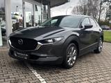 Mazda CX-30 2.5 M HYBRID Takumi Leder schwarz - Mazda CX-30 Takumi mit Benzin-Antrieb