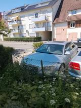 Audi A8 3,7 Liter Quattro - Audi A8 mit LPG-Antrieb