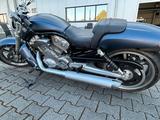 Harley-Davidson  V-Rod Muscle / VRSCF - HARLEY-DAVIDSON V ROD MUSCLE VRSCF