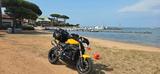 Triumph Speed Triple 1050 - 94er Sonderedition