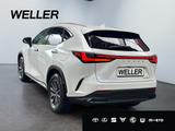 Lexus NX 350h Luxury Line *Pano*LED*Navi*Leder*360° - Lexus: Nx