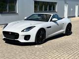 Jaguar F-Type 3.0 L P380 V6 R-Dynamic AWD LTD - Jaguar F-Type aus 2020