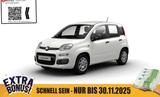 Fiat Panda Pandina POP Hybrid #KLIMA #PARKSENSOREN