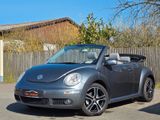 Volkswagen New Beetle Cabriolet 1.4 - Volkswagen New Beetle mit Benzin-Antrieb: Cabrio, 1.4