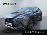 Lexus NX 450h+ E-FOUR Business *Bi-LED*360*Leder*SHZ 4 - Lexus NX Series in Bremen