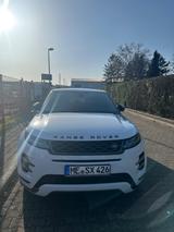 Land Rover Range Rover Evoque P300e R-DYNAMIC S Aut... - Land Rover Range Rover Evoque mit Hybrid-Antrieb