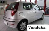 Fiat FIAT Punto 1.2 3 porte Actual - Fiat Punto: Actual