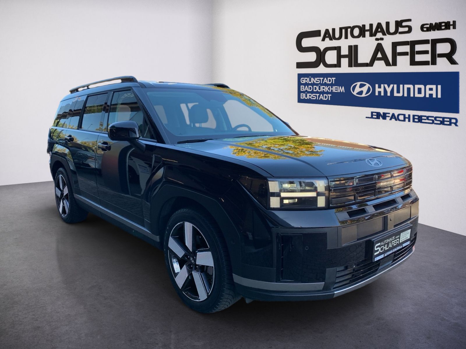Fahrzeugabbildung Hyundai SANTA FE 1.6T-GDI Signature Hybrid 4WD Schiebeda