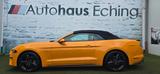 Ford Mustang GT  5.0 V8 Aut.*Leder*Navi*LED*SHZ*Kam.* - gebrauchte Ford Mustang aus dem Jahr 2019