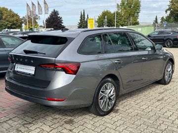 Skoda Octavia - 3