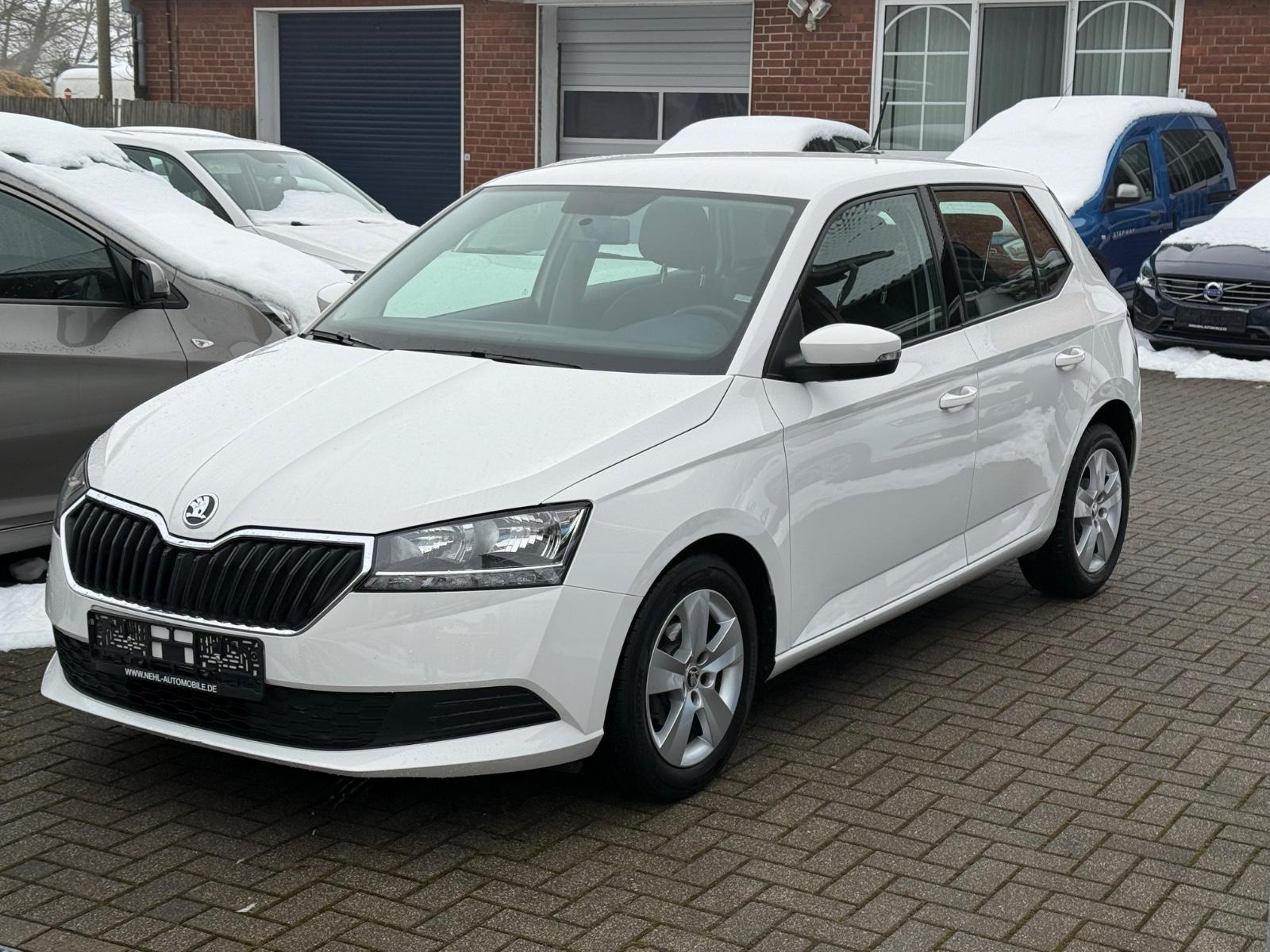 Skoda Fabia Active*Sitzh.*PDC*KLIMA*DAB*TÜV