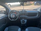Fiat Panda Easy 1.Hand neue TÜV - Fiat in Saarbrücken