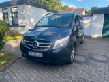 Mercedes-Benz Mercedes V 250 - Mercedes-Benz V 250