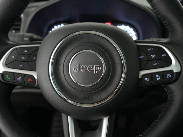 Renegade LIMITED MHEV DCT+NAVI+RÜCKFAHRKAMERA+PA