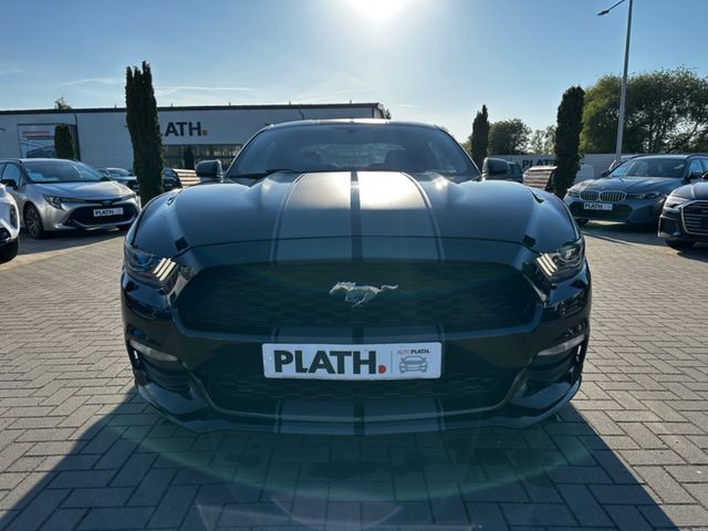 Ford Mustang  USA Shelby Optik