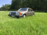 Mercedes-Benz Mercedes Benz W124 E230 - Mercedes-Benz E 230: W124